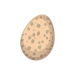 egg