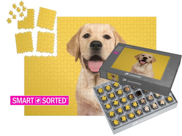 SMART SORTED® | puzzleYOU