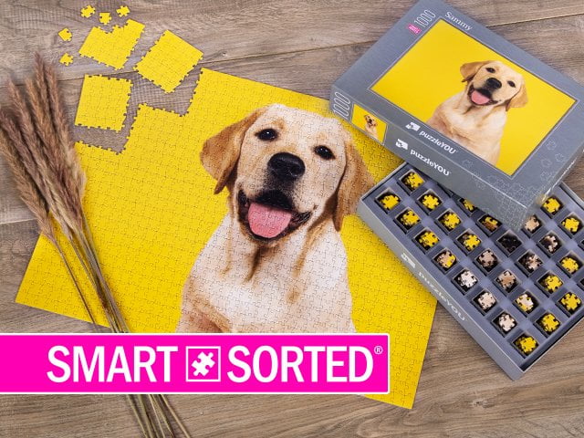 SMART SORTED® | puzzleYOU